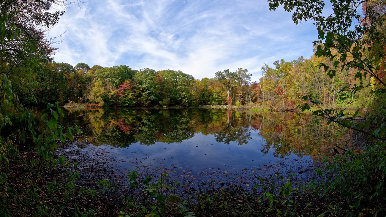 An image of a pond with trees with fall leaves around it.