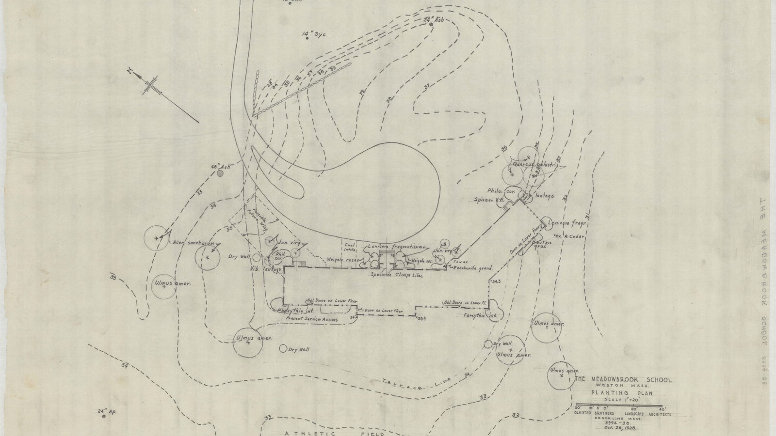 Pencil sketch of rectangular building with curved streets around it.