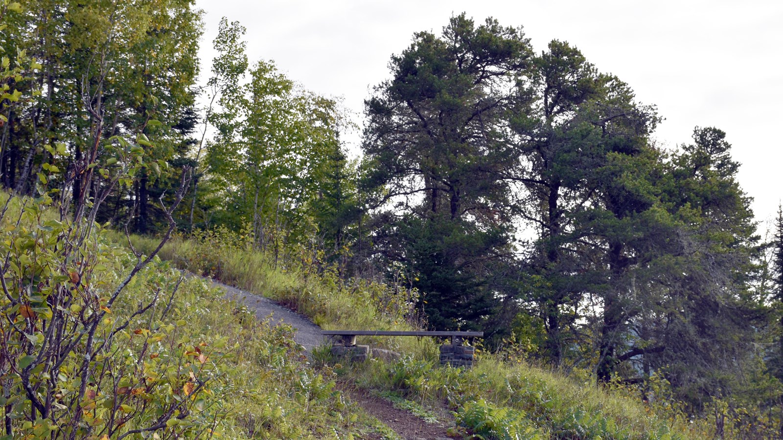 A bench at the junction of dirt and gravel paths