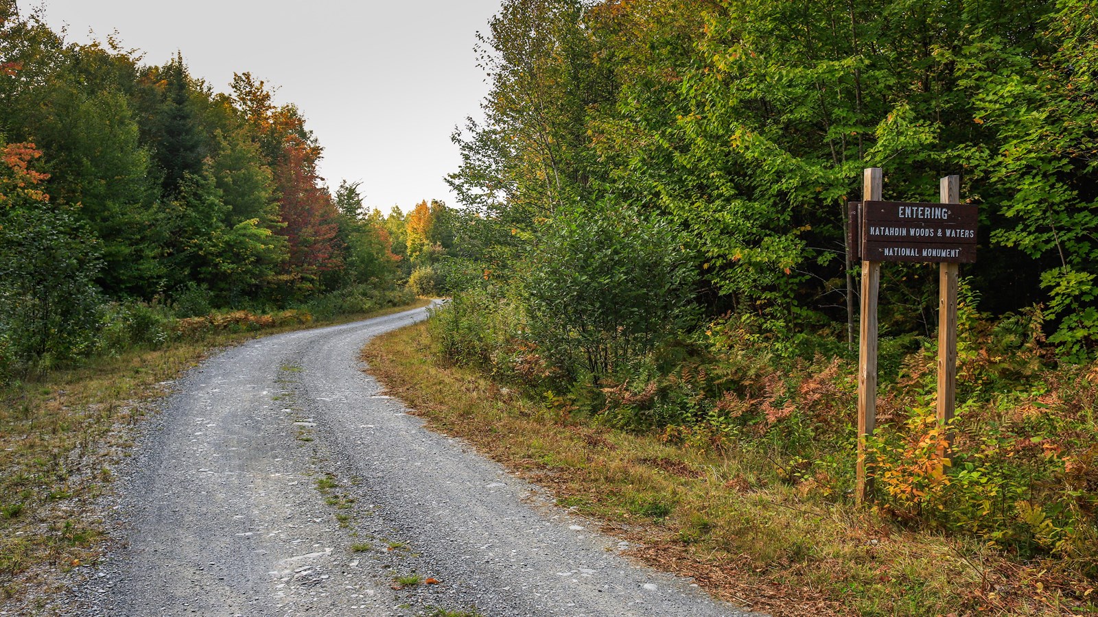 A park entrance sign along a dirt logging road with thick forests on both sides of the road.