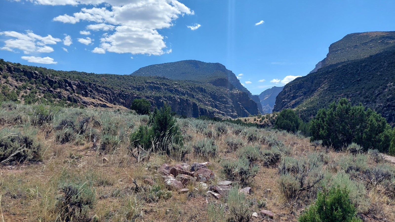 A dry desert shrubland leading towards a vast, steep canyon.
