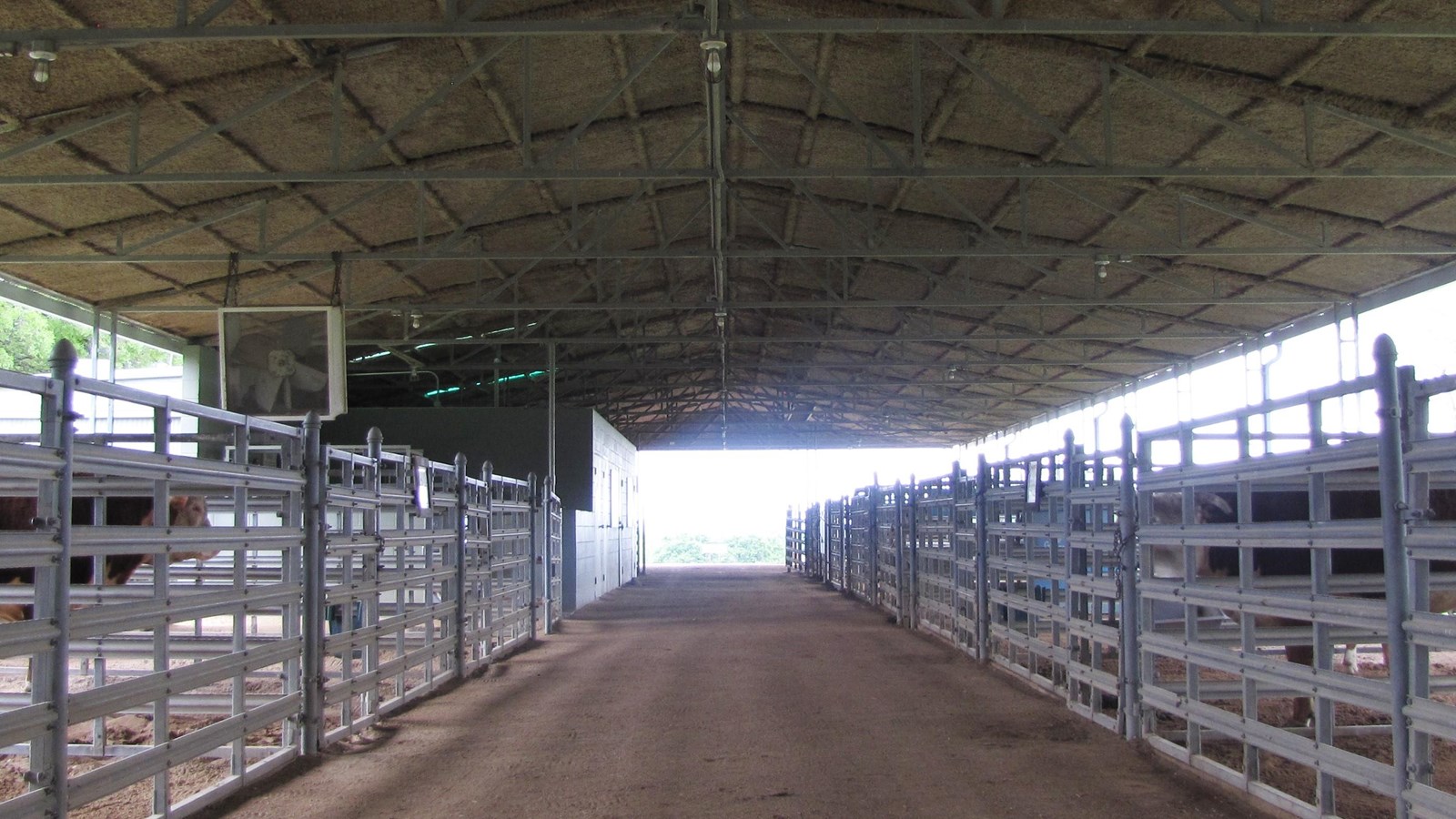Under a roof with metal rafters, numerous metal pens line either side of a central dirt walkway.