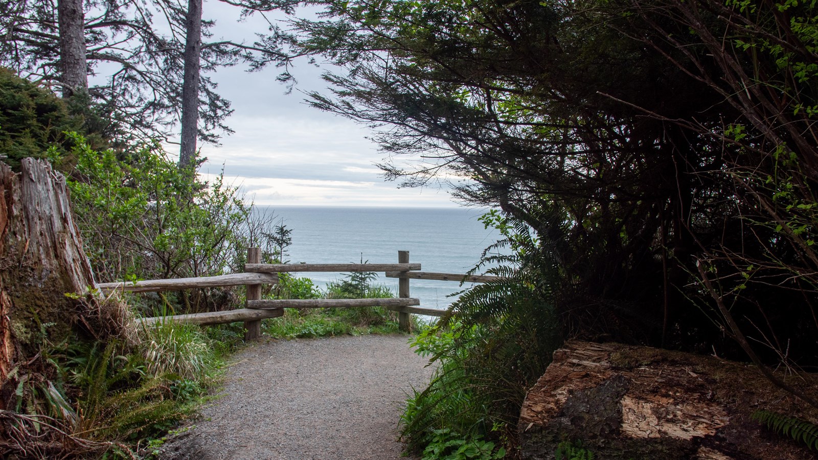 A path leads toward a fenced overlook where the ocean is visible beyond.