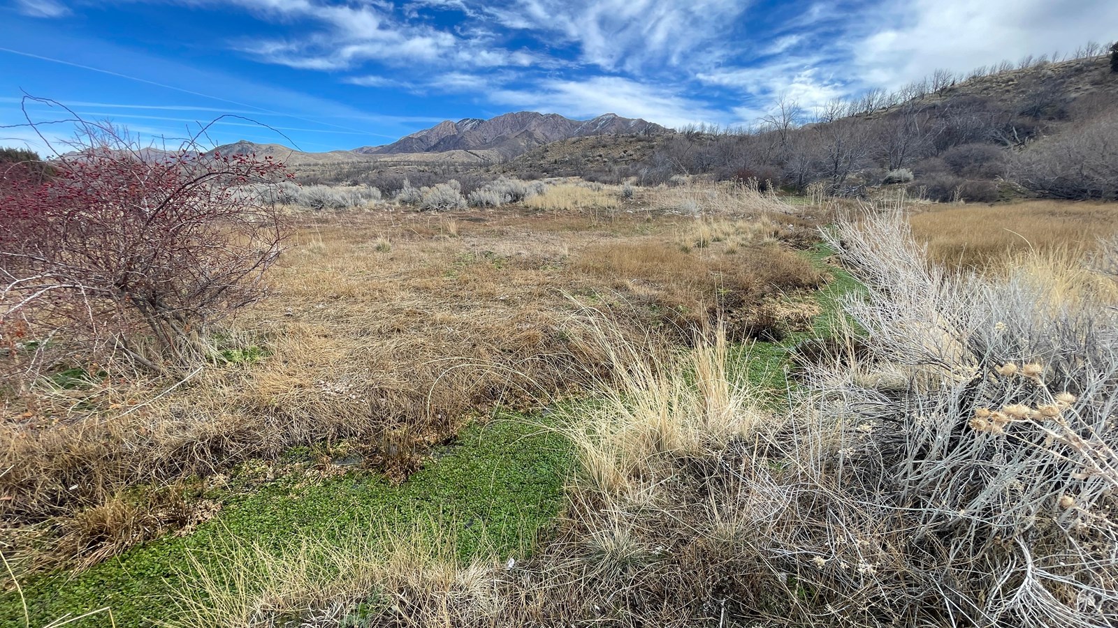 A stream with green vegetation runs diagonally in the photo. brush surrounds it with mountains.