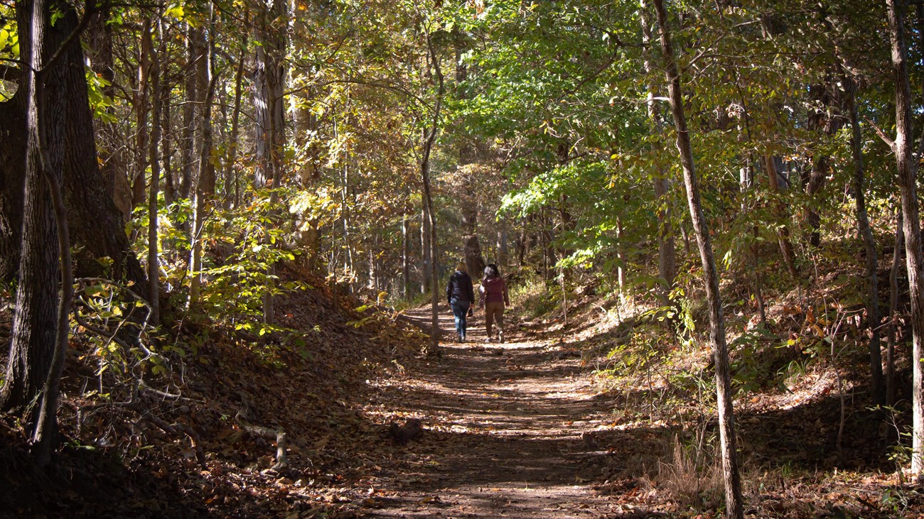 Two people walk down a trail in a dense wooded area.