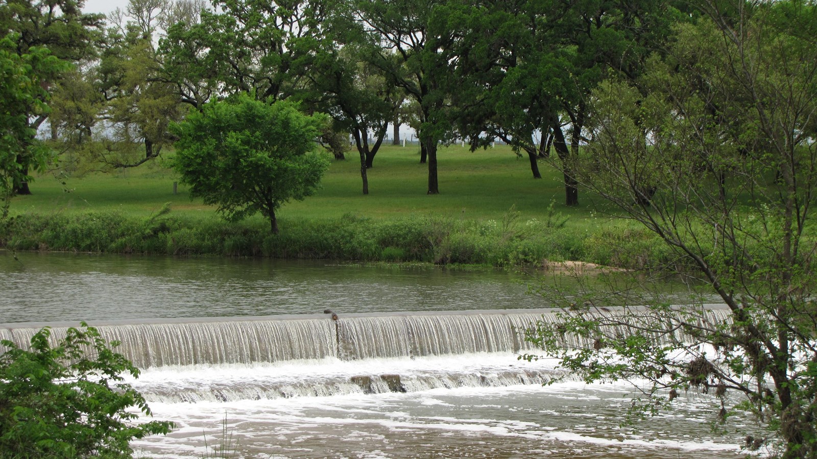 Framed by green foliage and grass, the view is a wide river waterfall flowing over a low dam.