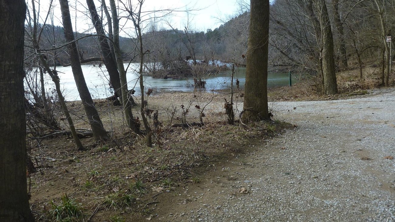 grey gravel drive to water with numerous trees