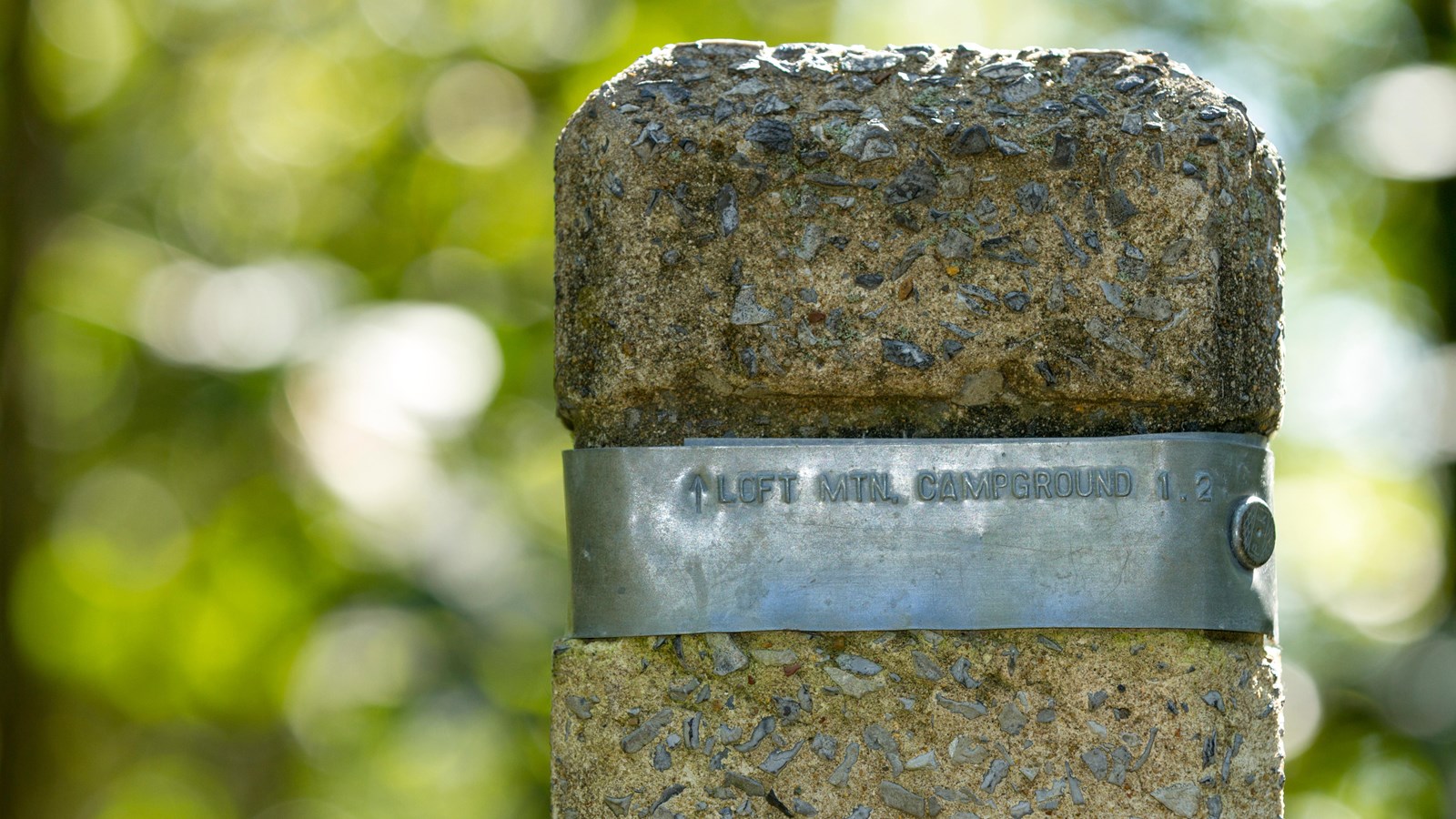 The directional post marks the split to stay on the Frazier Trail or to continue to the campground