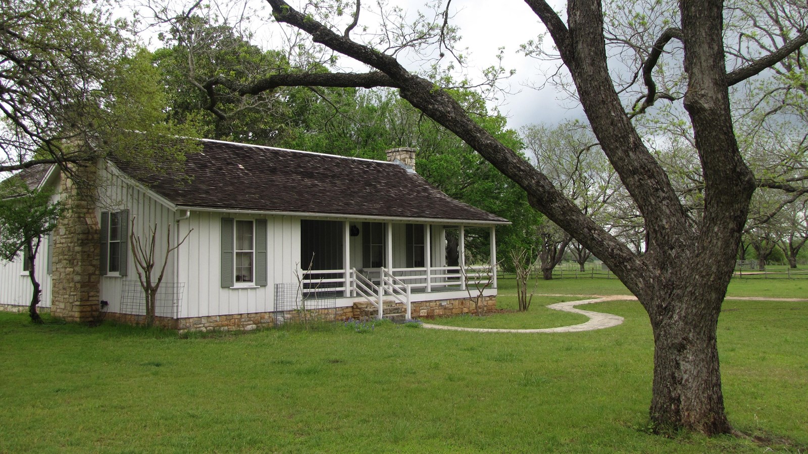 A white, one story house with a porch sits beyond a large pecan tree.