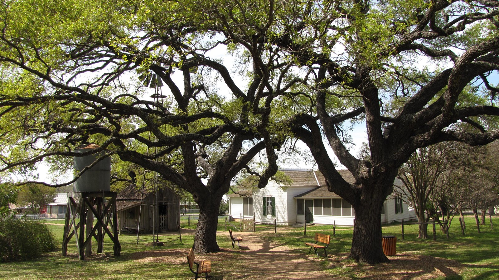 Boyhood Home, smokehouse and water cistern under a canopy of live oak trees