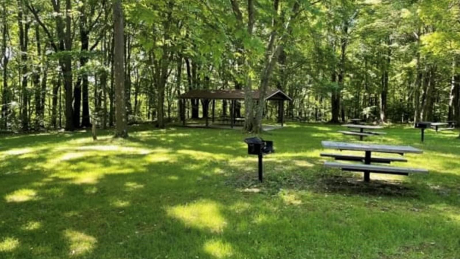 A view of a covered pavilion and picnic tables with trees surrounding them.