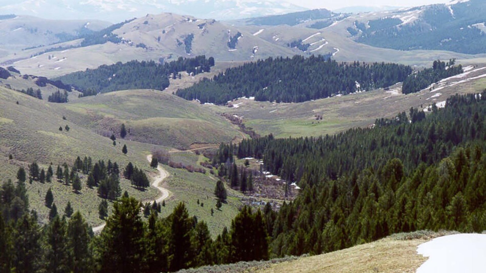 Mountain pass with trees, snow, and grassy areas, and a trail leading down the mountain next to a st