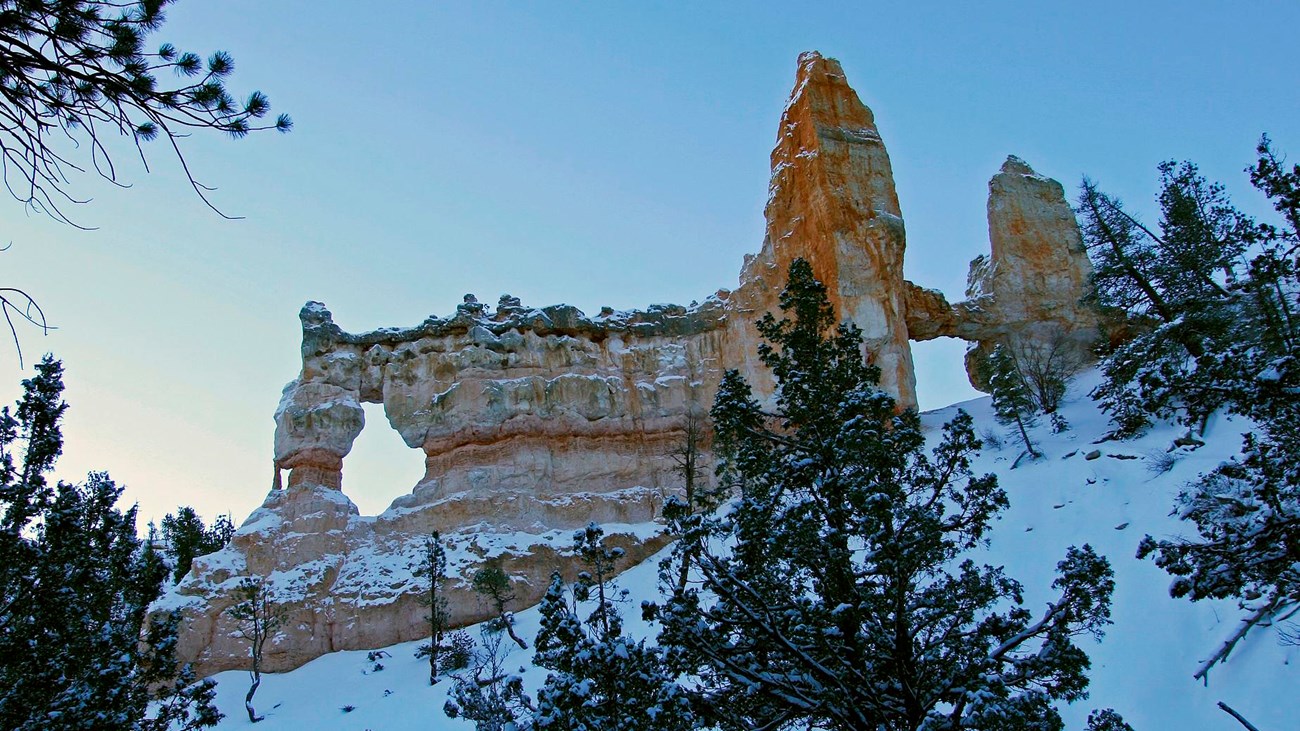 A pale red rock formation covered in snow surrounded by green trees