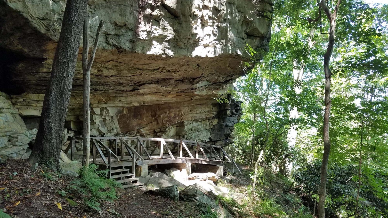 A wooden boardwalk passing under large overhanging cliff
