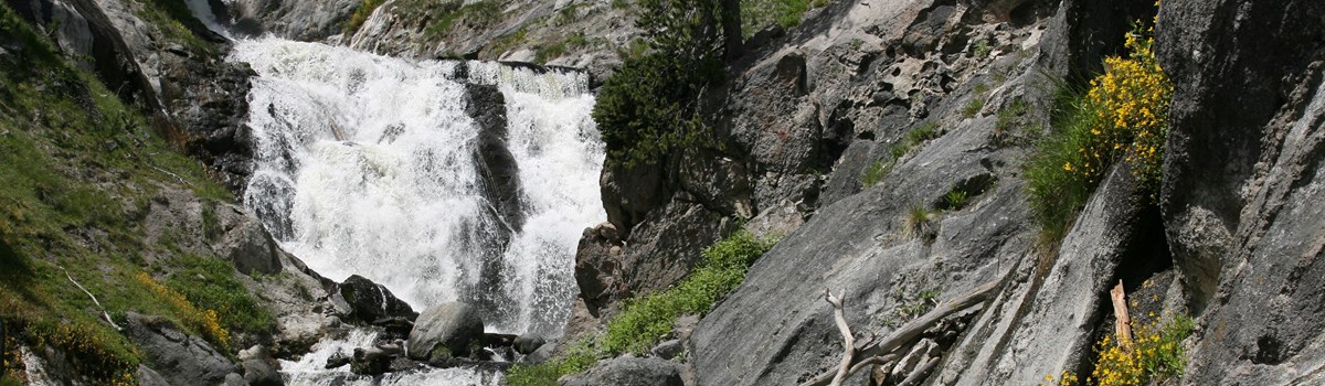 Water cascades down across gray boulders with yellow wildflowers in bloom.