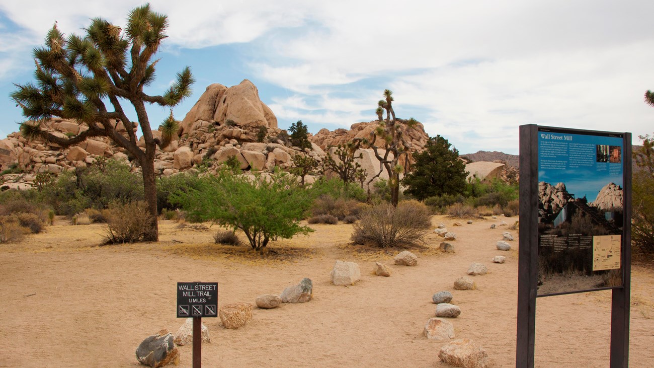 A dirt path heading past a sign, Joshua trees, small trees, and shrubs towards large rock formations