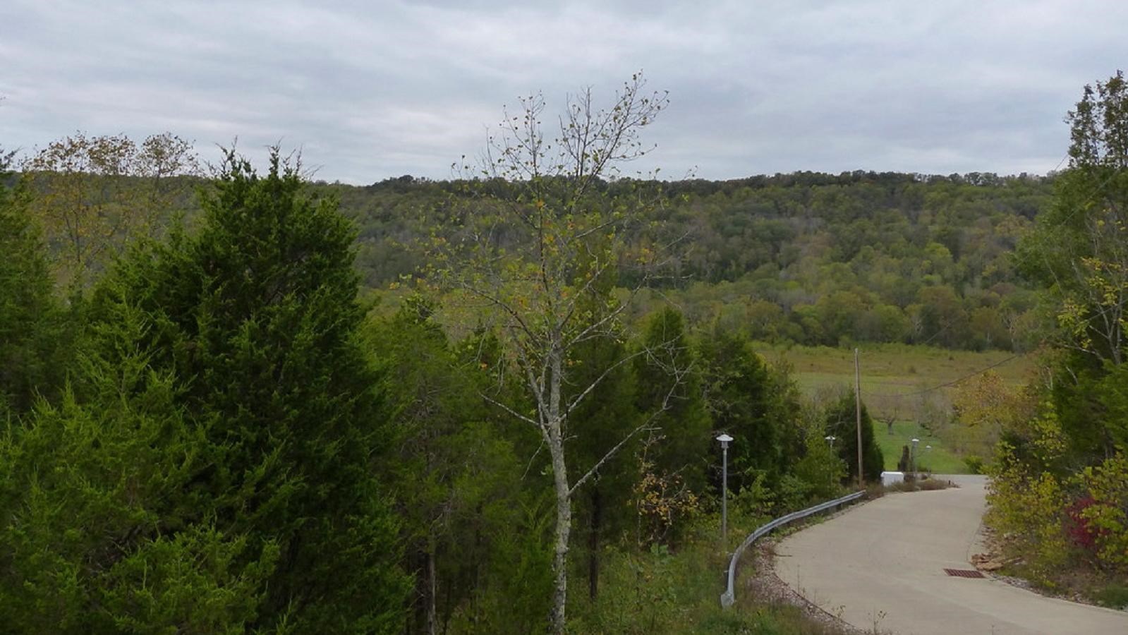 A road winds through green rolling wooded hills.