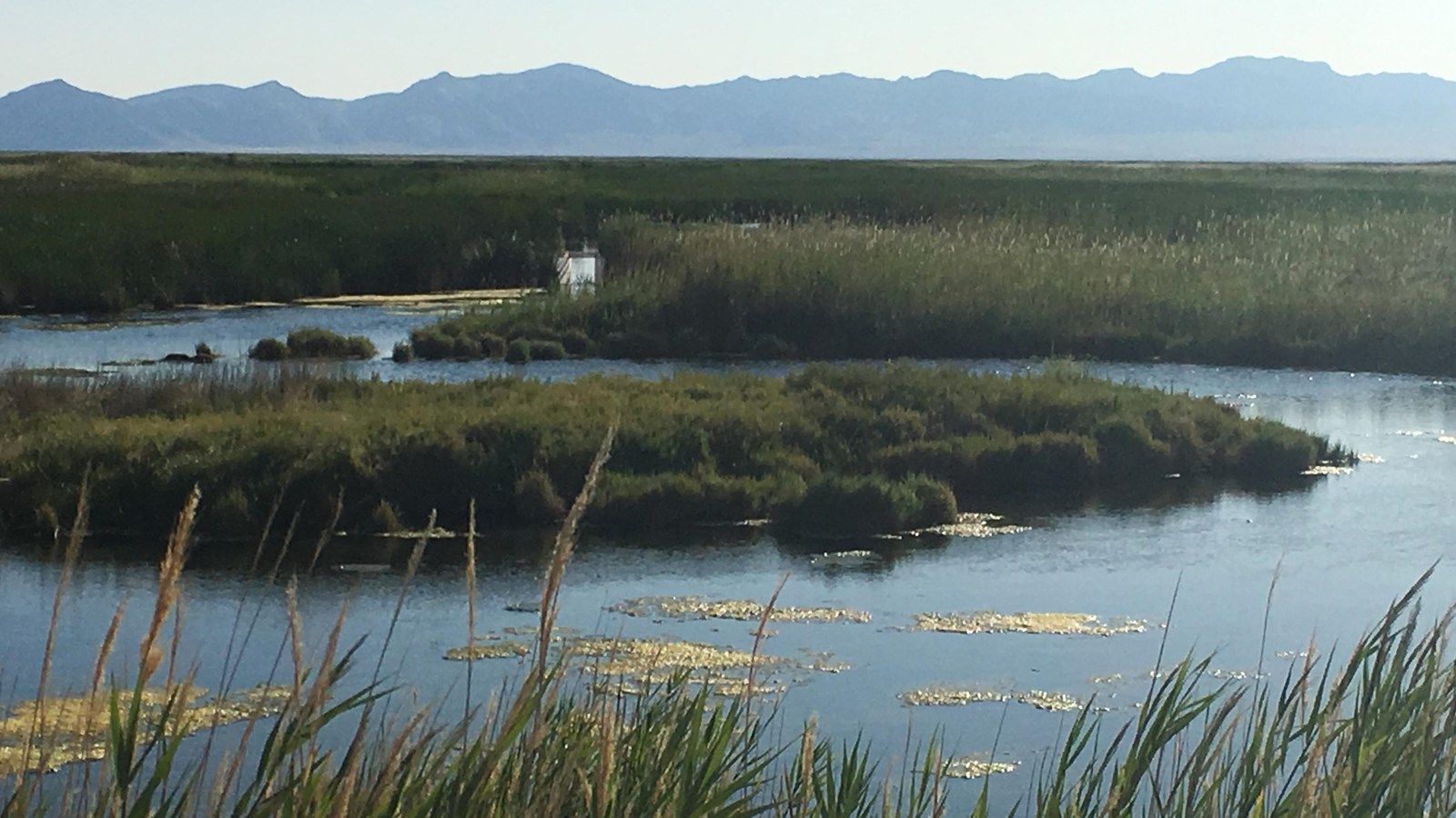 Marshland, winding water channel, and distant blue mountains under a clear sky.