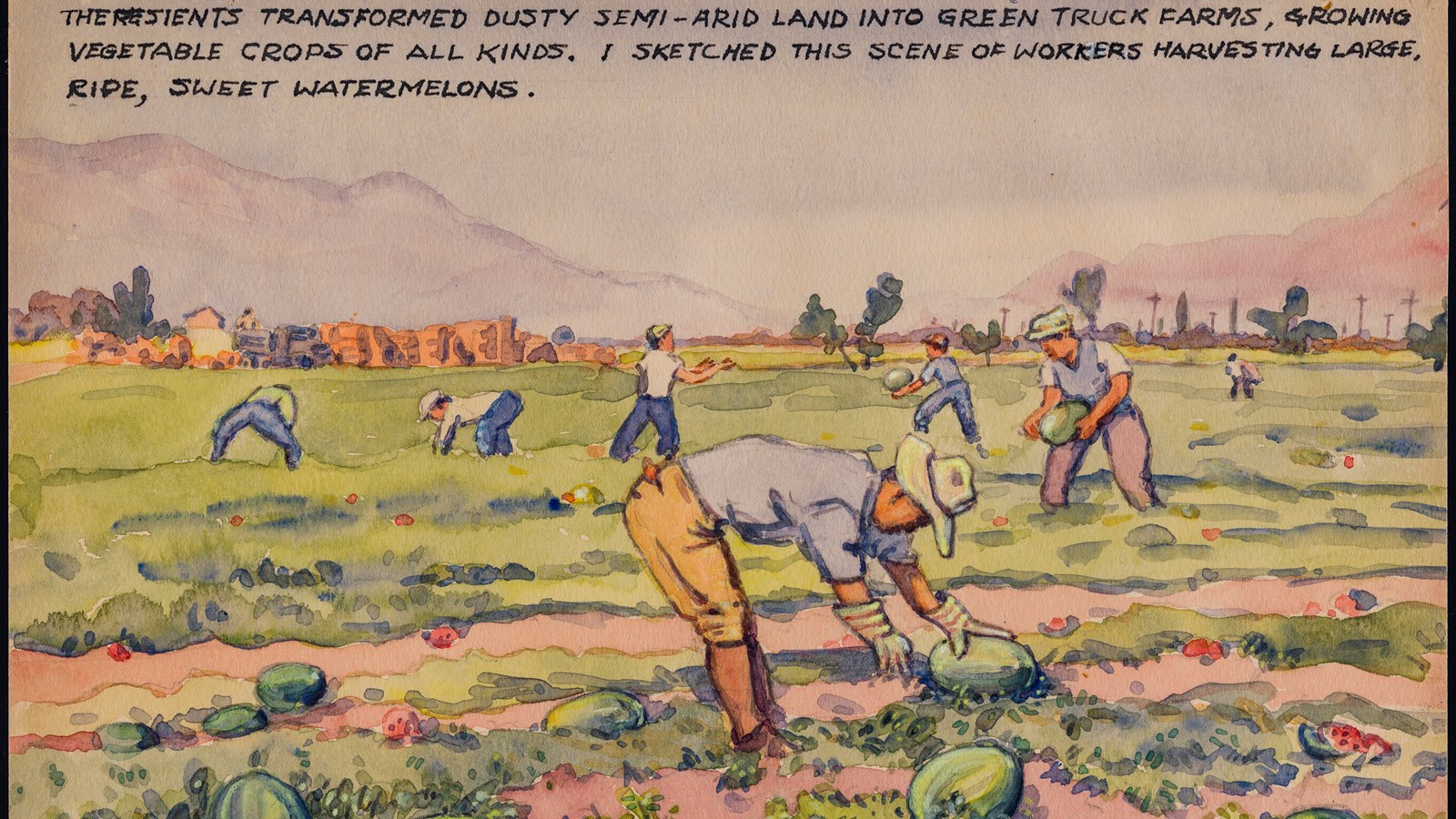 watercolor painting of men bending over melon fields