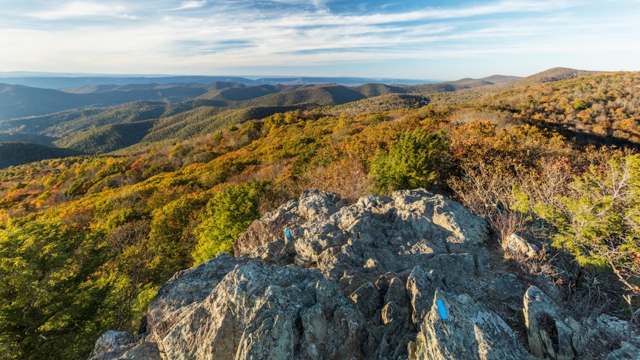 A rock cliff overlooking a valley below bathed in yellow fall colors.