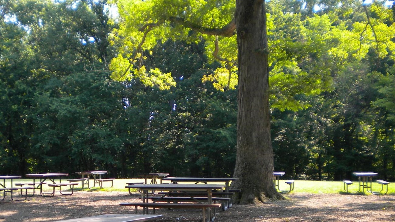 Picnic tables are available throughout Fort Dupont