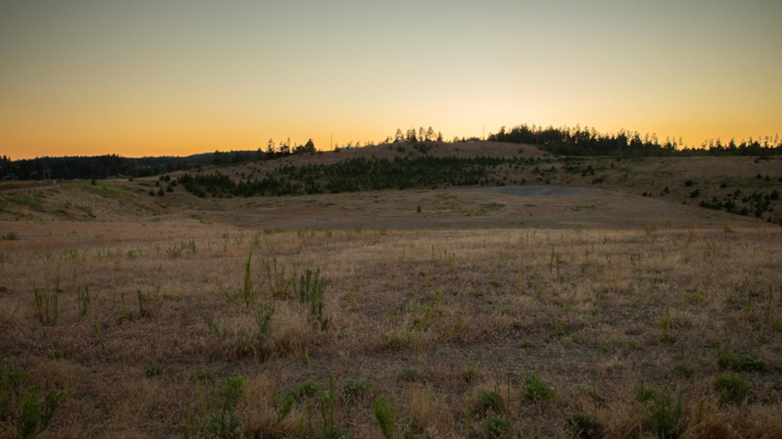 Color photograph of a grassy area with a pit in the center at sunset