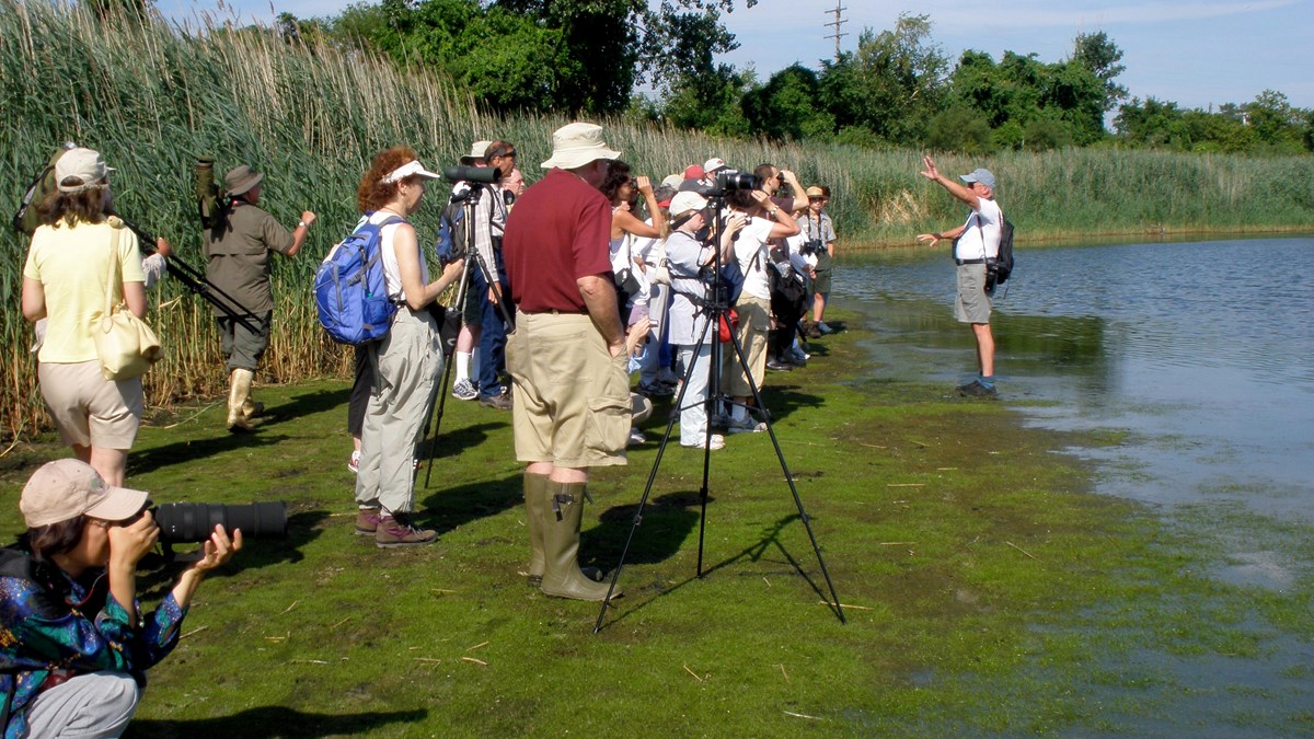 Group of birders at the Jamaica Bay Wildlife Refuge on shore of the East Pond