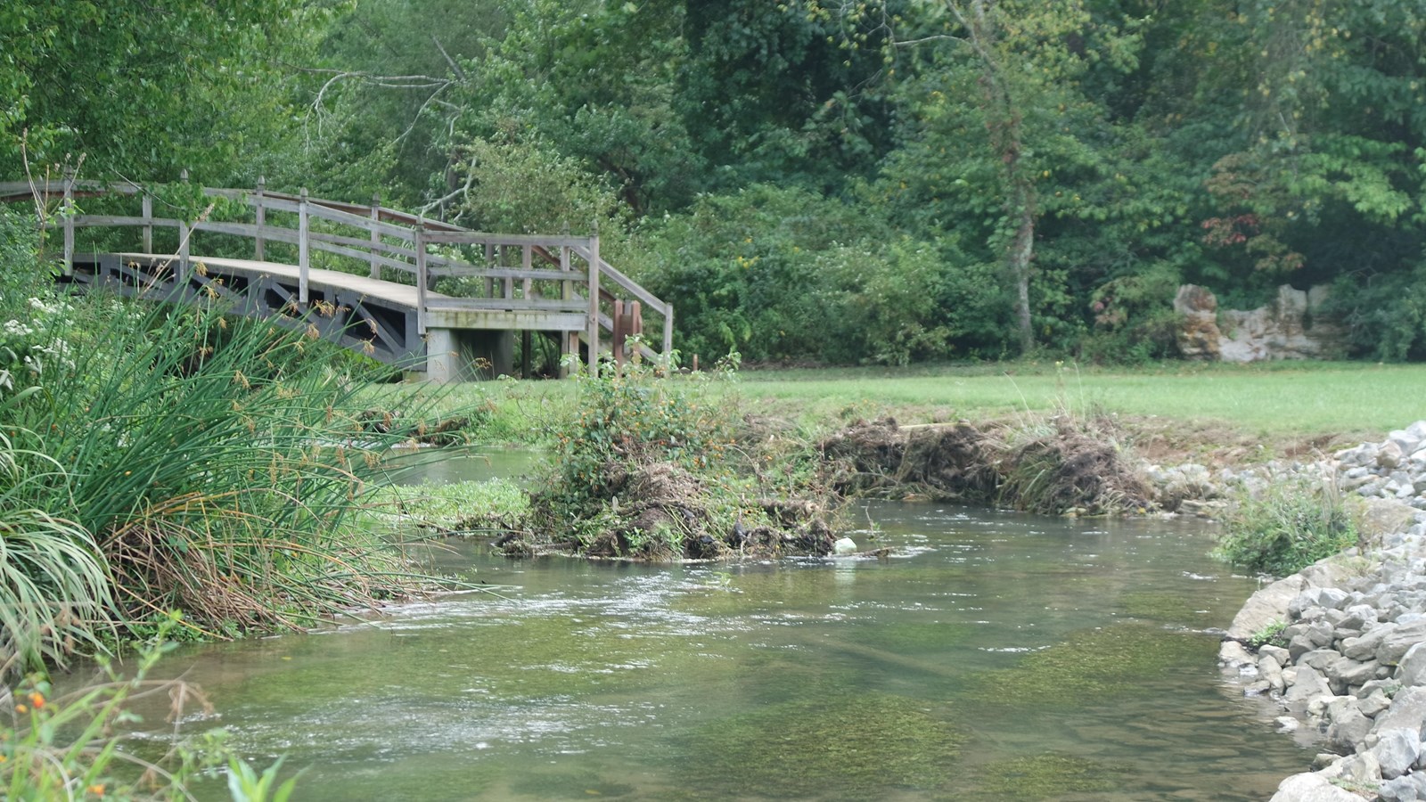 A stream lined with banks of wildflowers and tall grasses leads to a wooden foot bridge.