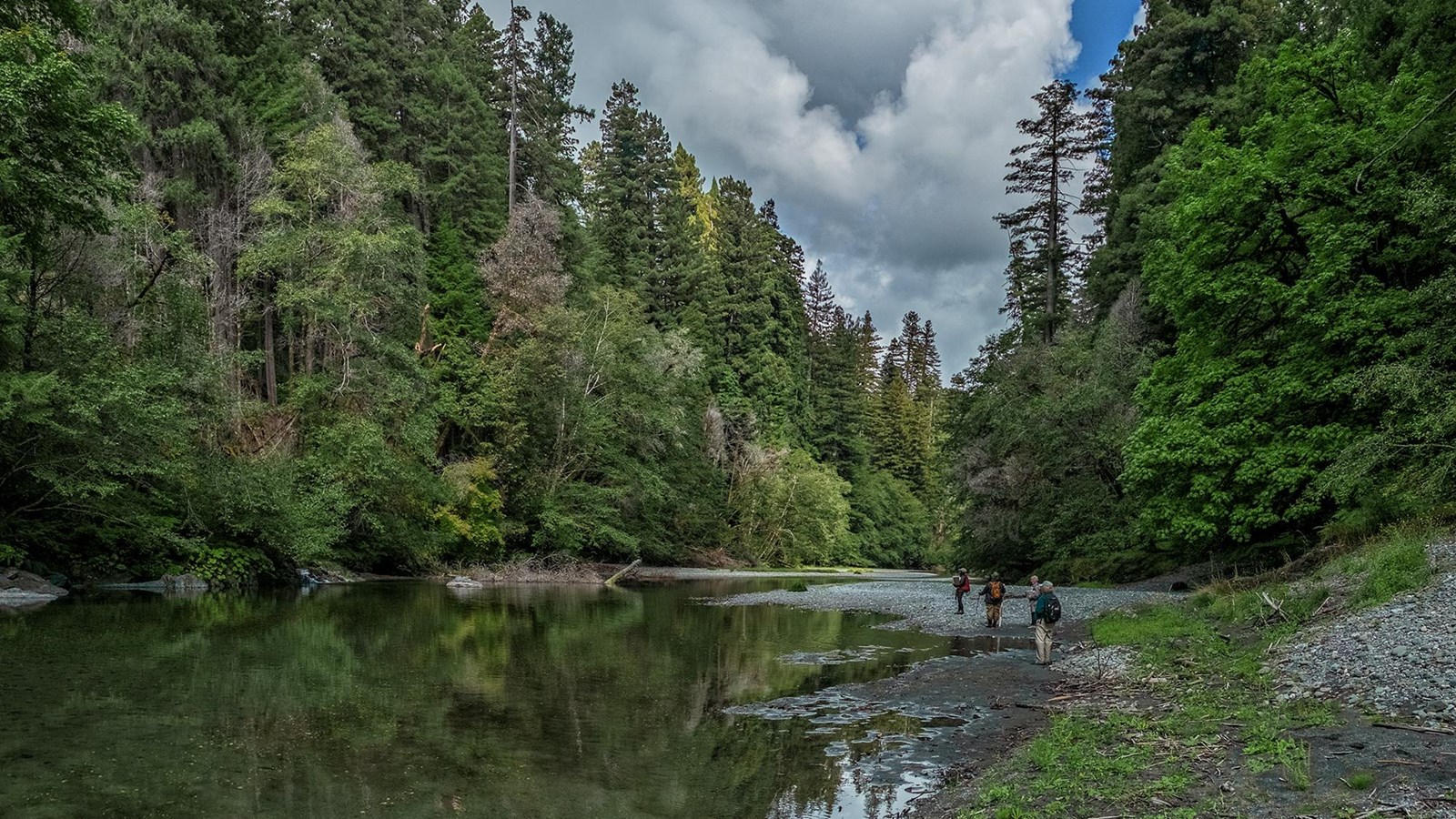 Redwood trees and other trees line a calm river. Three hikers walk on gravel bars.