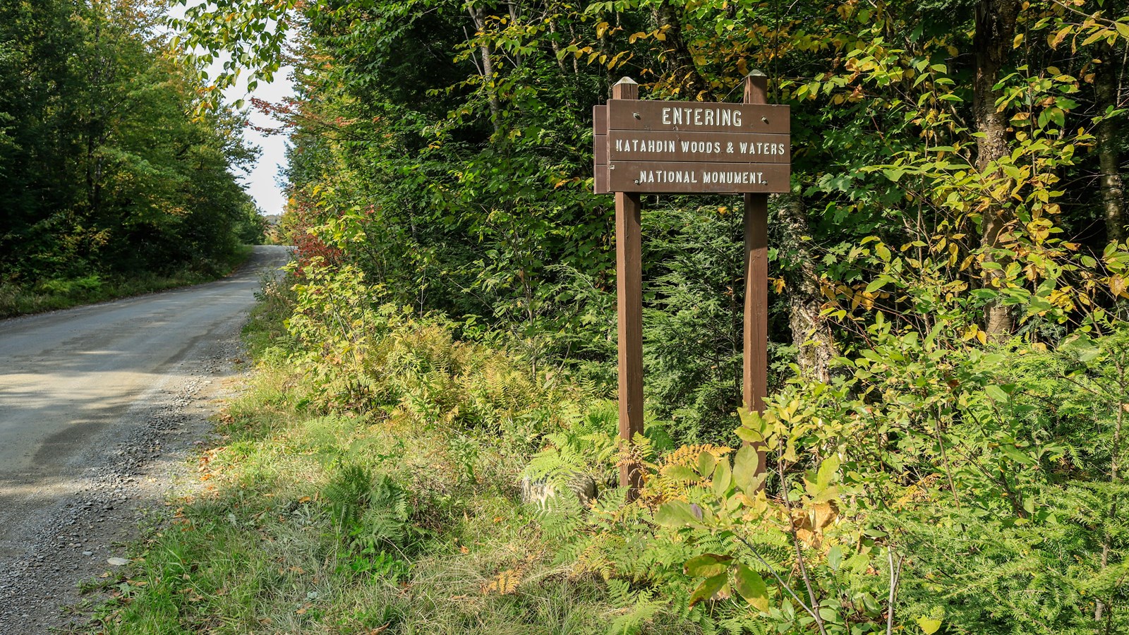 Park Sign along a logging road surrounded by deciduous forest.