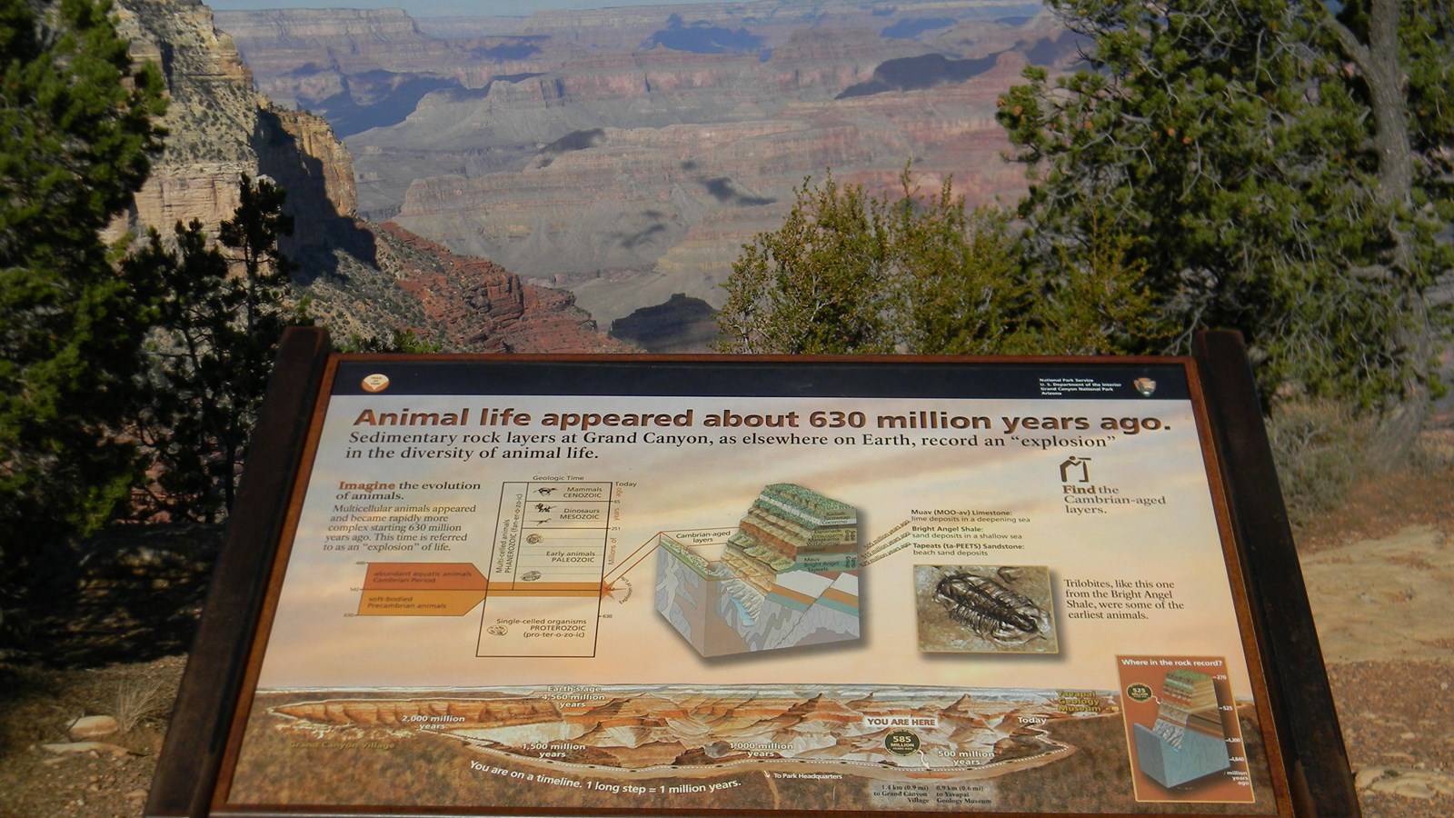 A dark metal stand supports an angled wayside exhibit that discusses Grand Canyon\'s fossil record.