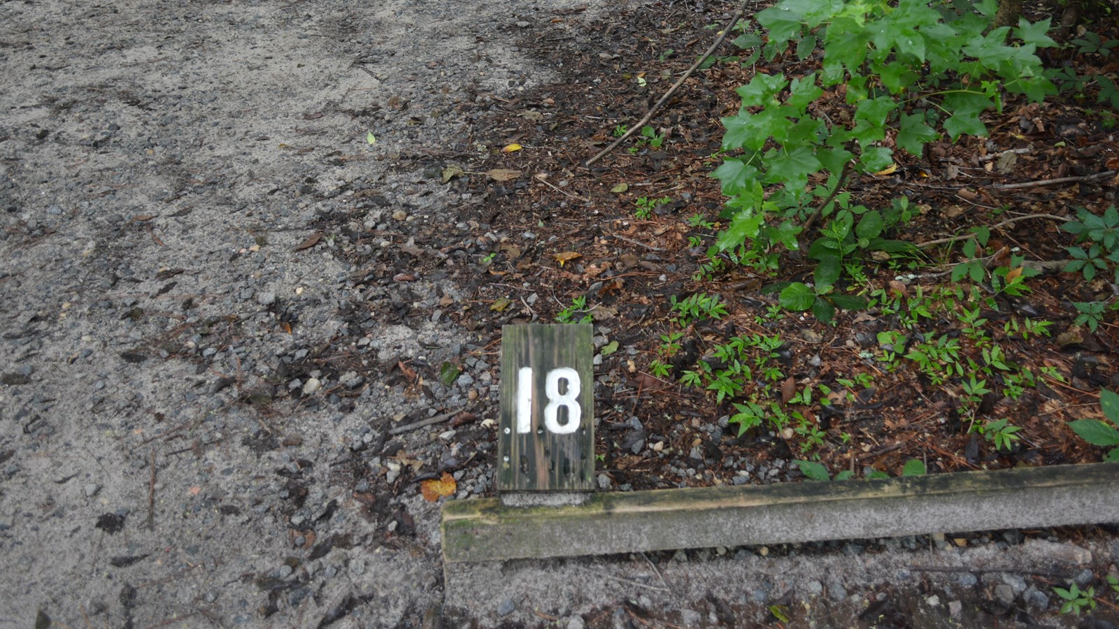 Wooden #18 on a low boardwalk trail. Gravel trail beyond.