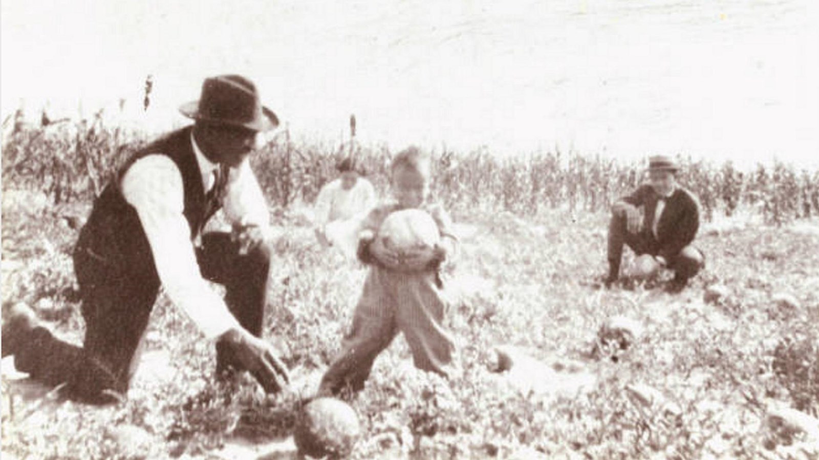Two men, a woman, and a child in a melon patch near a corn field