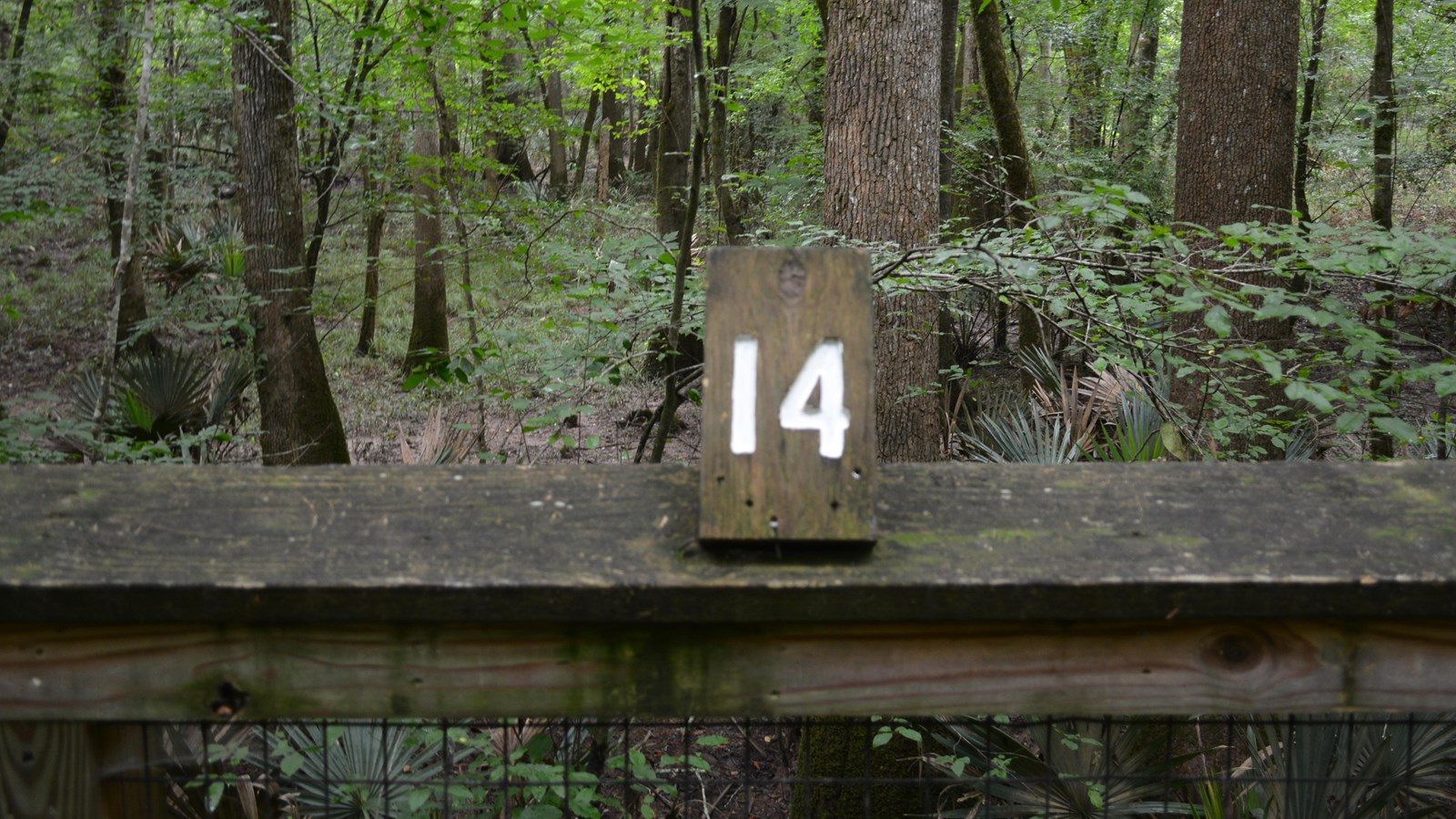 Wooden #14 atop railing. Forest beyond. 