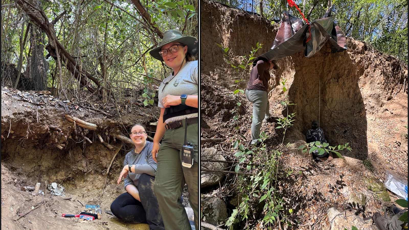 Composite of two photos showing researchers in a wooded area with fossils emerging from soil