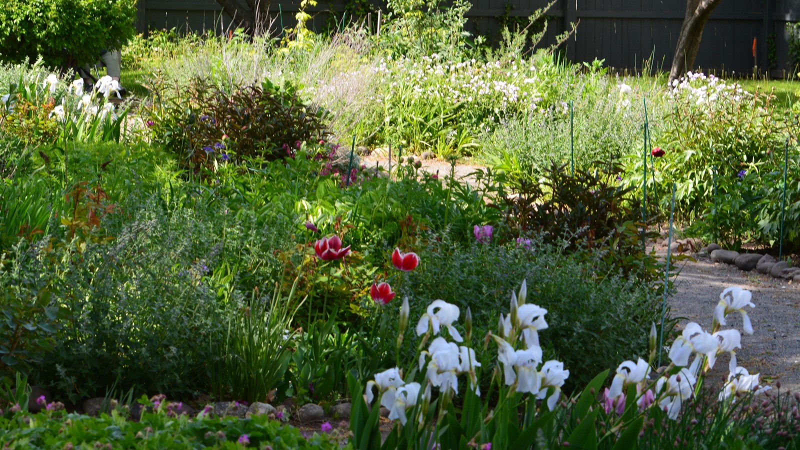 Lush green garden filled with a variety of flowers ranging in color