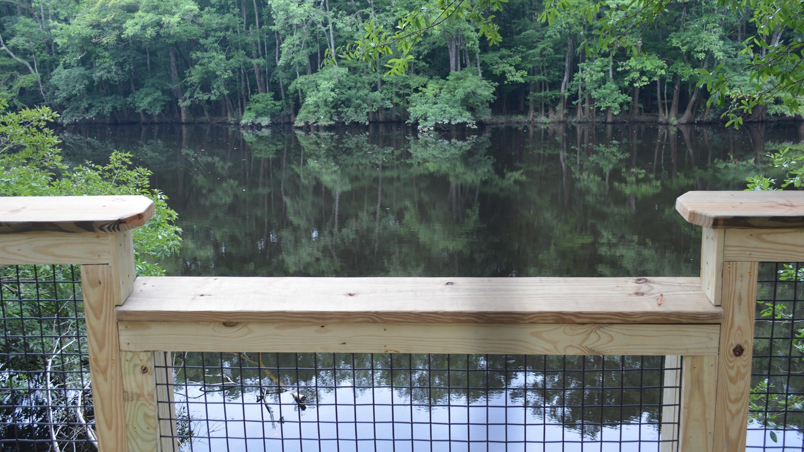 Overlook of a lake surrounded by forest