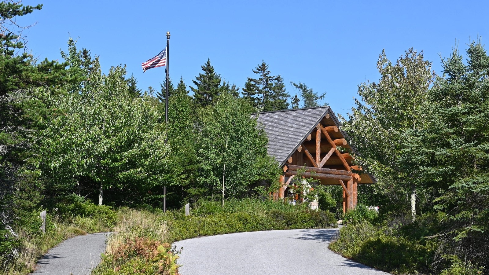 A cabin building tucked away in the trees