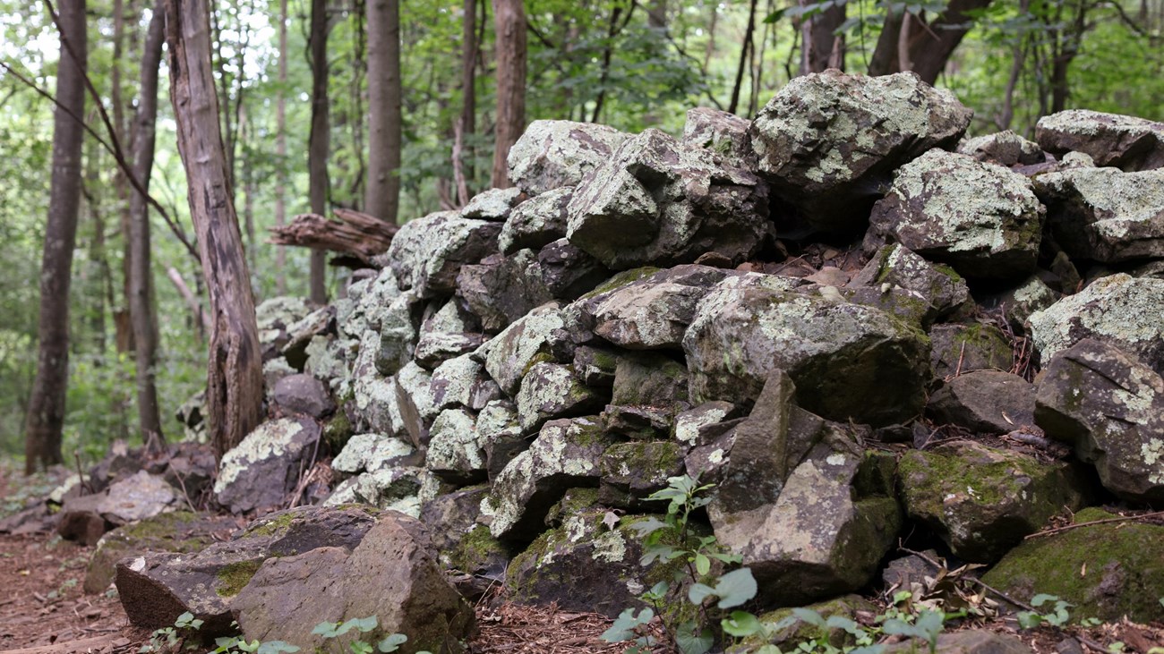 A crumbling, historic rock wall under a canopy of green trees