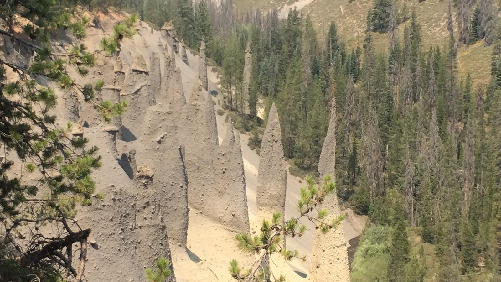 Spires of hardened volcanic matter are exposed via erosion along a canyon wall