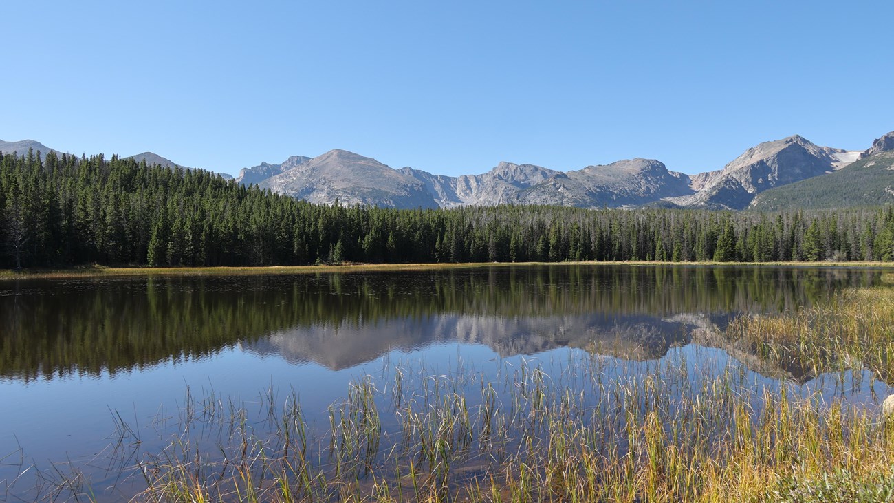 Bierstadt Lake