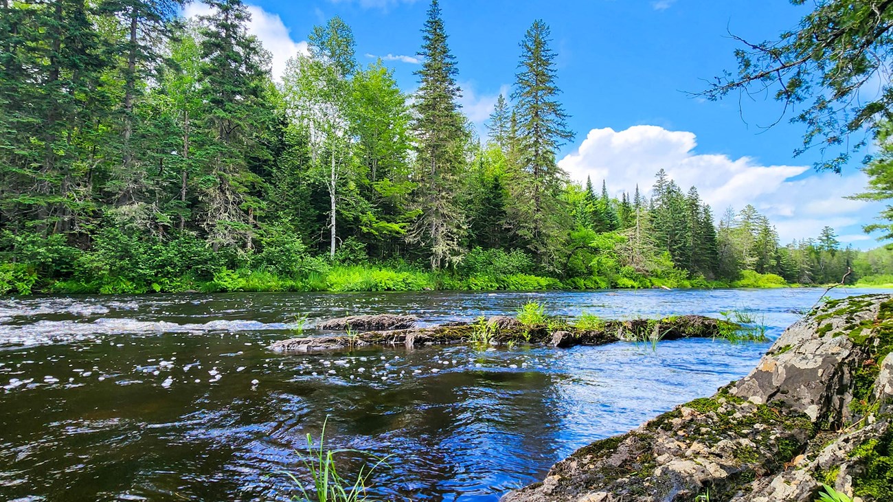 The Seboeis River flows between a lush forested area. It is a bright sunny day with blue skies.