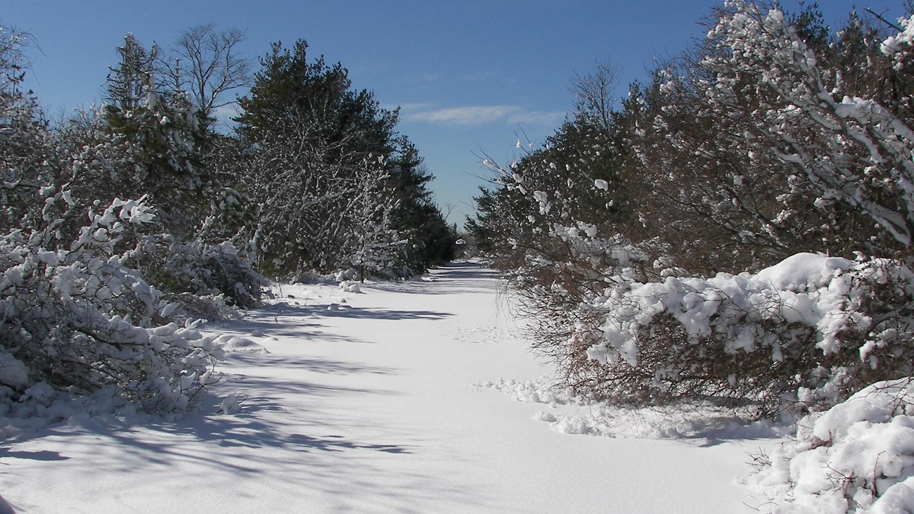 A snowy day at Floyd Bennett Field