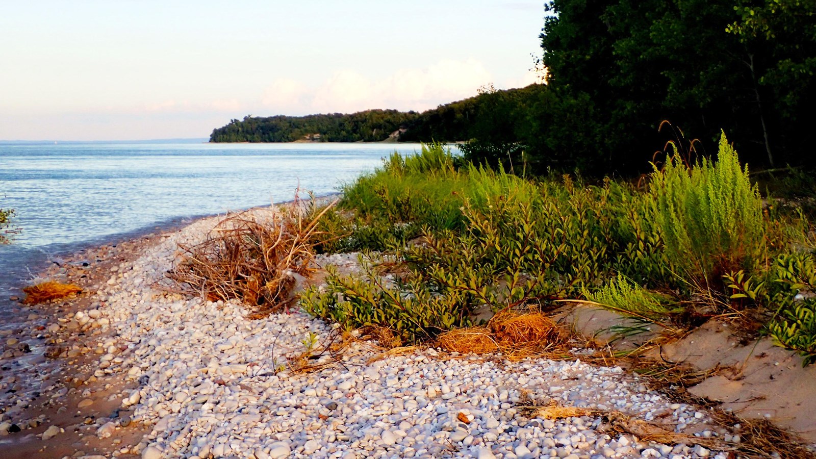 Pebbly shore line winds along light blue lake past green vegetation and dark trees