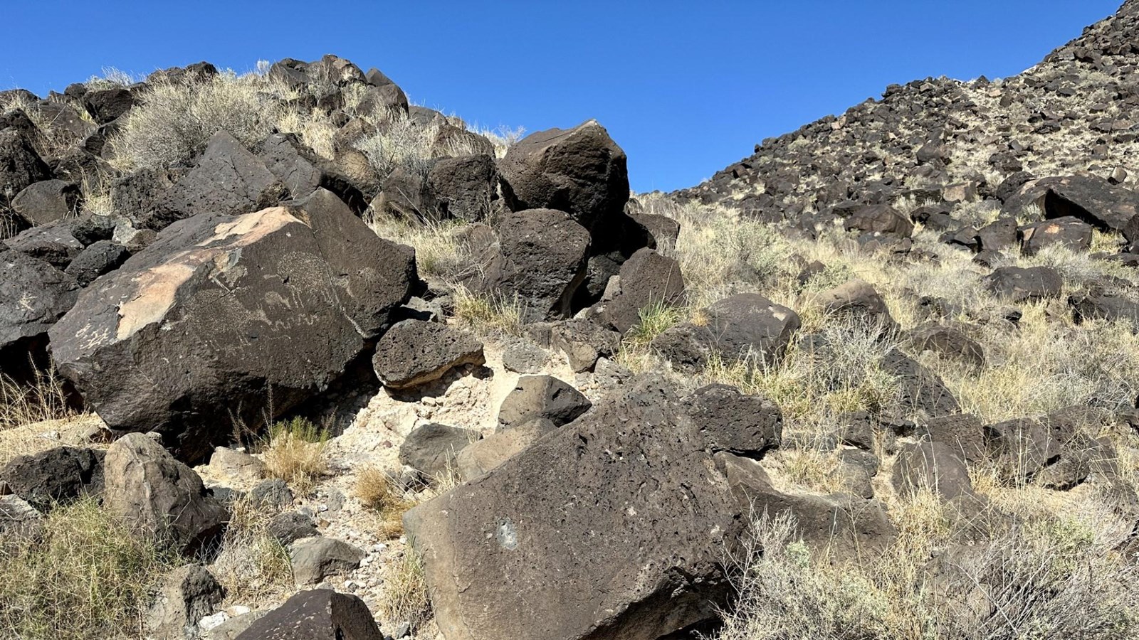 Dark volcanic boulders with petroglyphs on them.