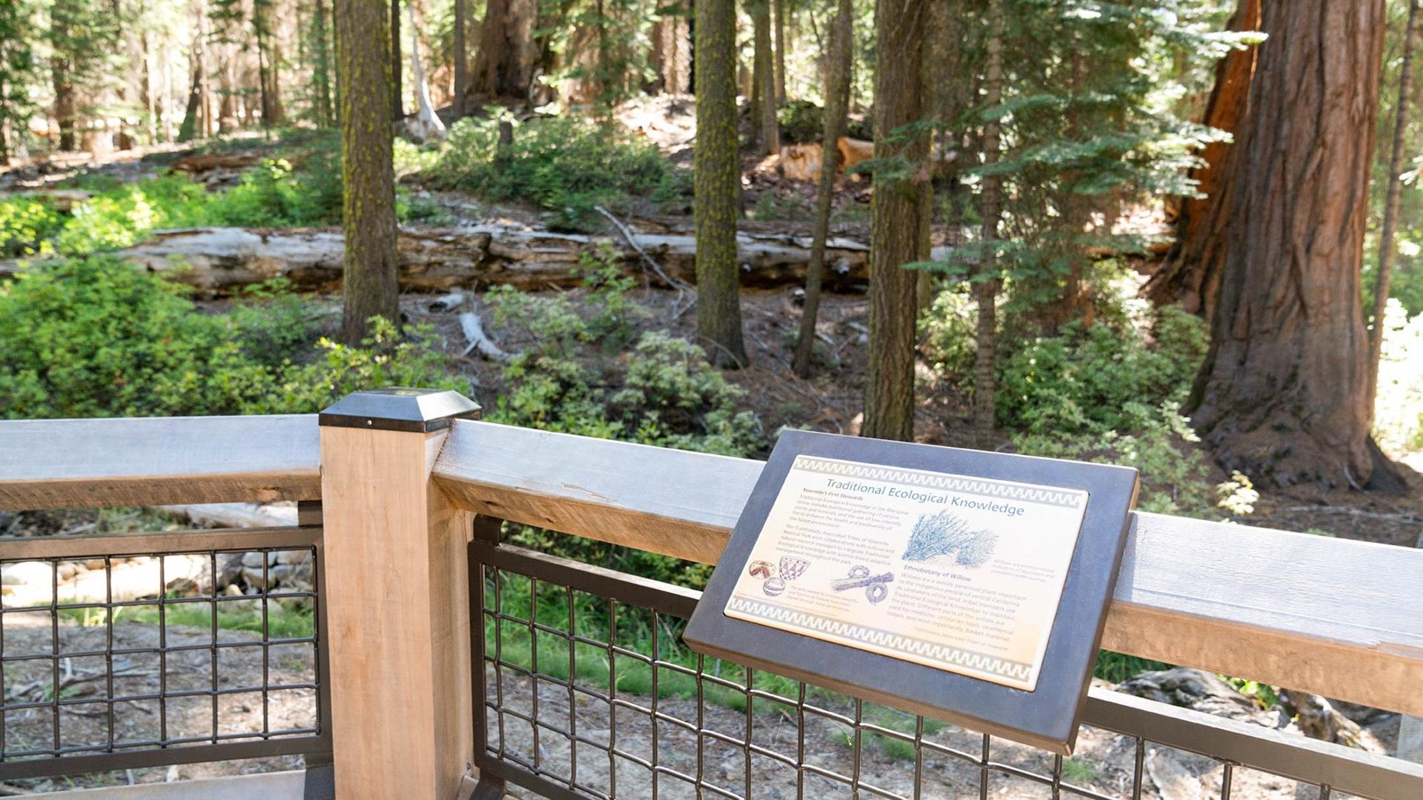 Wayside exhibit on a fence with view of forest