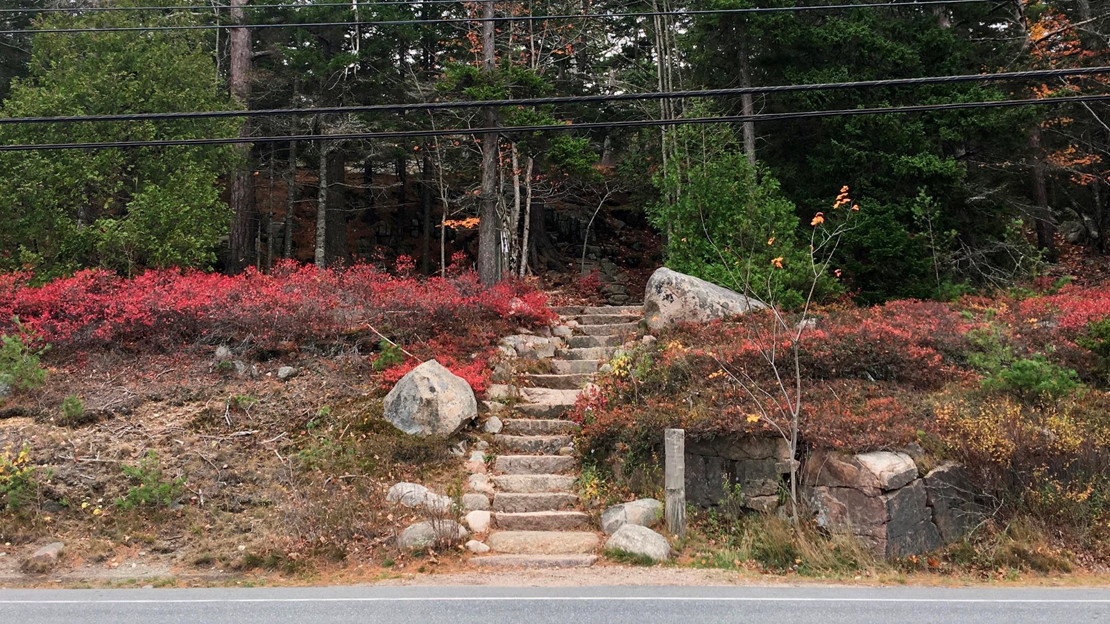 A trailhead with vegetation around it near a busy road with power lines