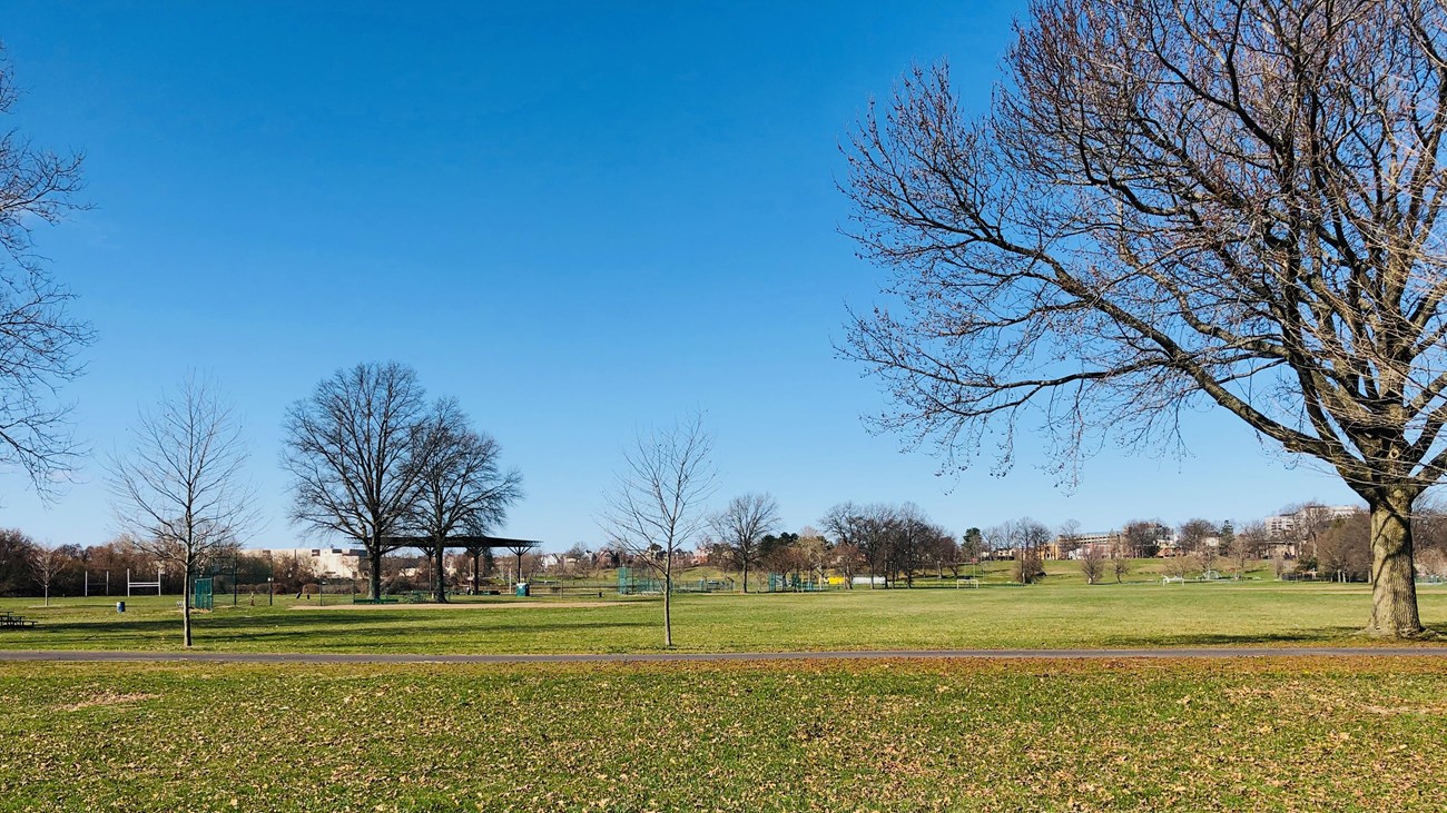 Early spring at Colt Park with green grass and recreational facilities in the background. 