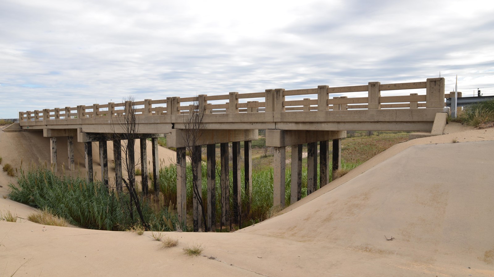 A tan concrete bridge over a small river surrounded by cattails.