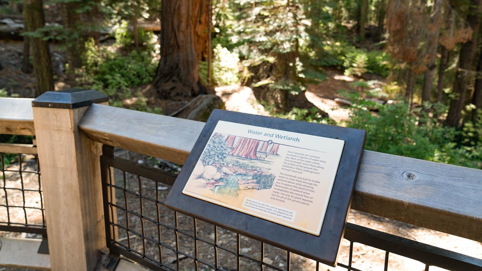 Wayside exhibit on a fence with view of forest